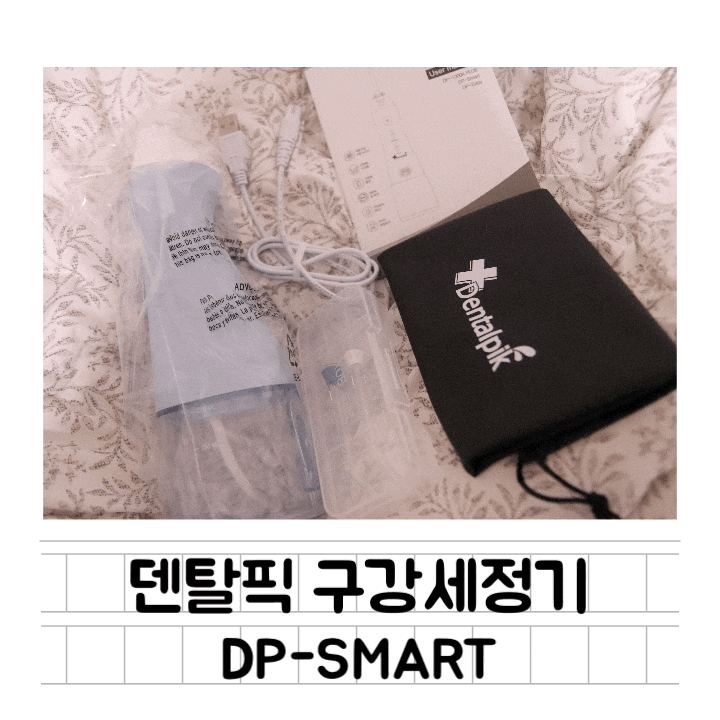 [생활] 덴탈픽 DP-SMART 휴대용 구강세정기 (블루) : 집에서 물치실로 치아 건강 챙기기