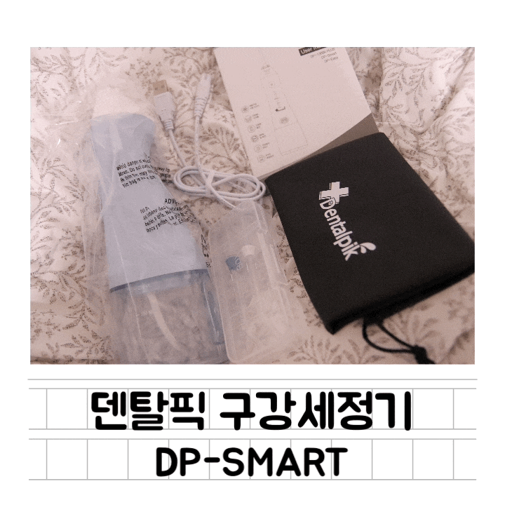  [생활] 덴탈픽 DP-SMART 휴대용 구강세정기 (블루) : 집에서 물치실로 치아 건강 챙기기