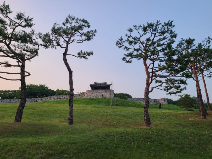  팔달산 새벽라이딩. #서장대 #로드자전거