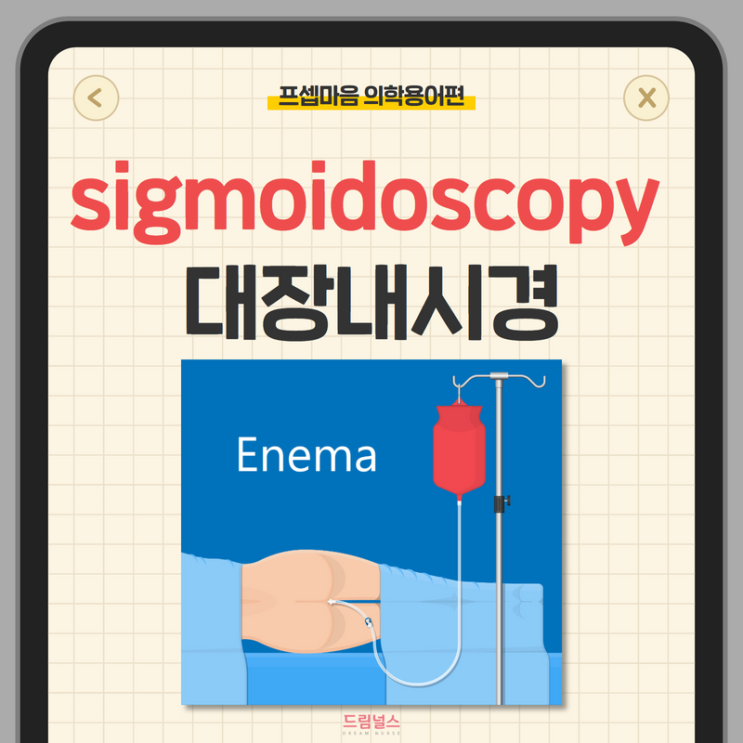 sigmoidoscopy colonoscopy 무슨 차이인가요? sigmoidoscopy colonoscopy 무슨 차이인가요?