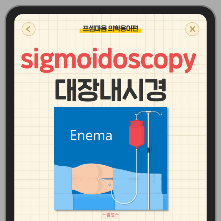 sigmoidoscopy colonoscopy 무슨 차이인가요?