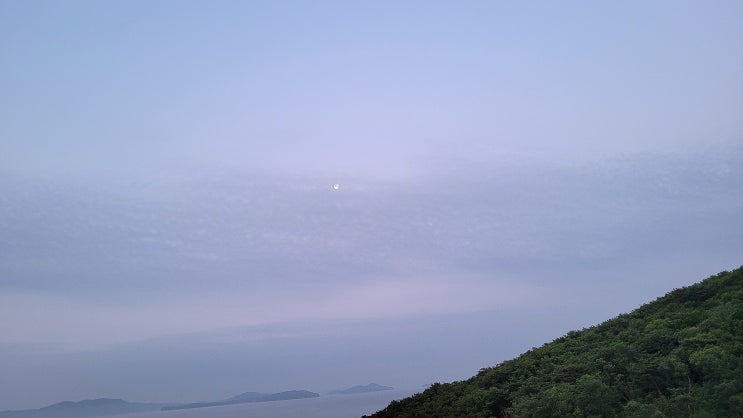  당일치기 강화 다녀온 우당탕탕 하루 :: 필름 끊기고 찾아온 엄청난 숙취