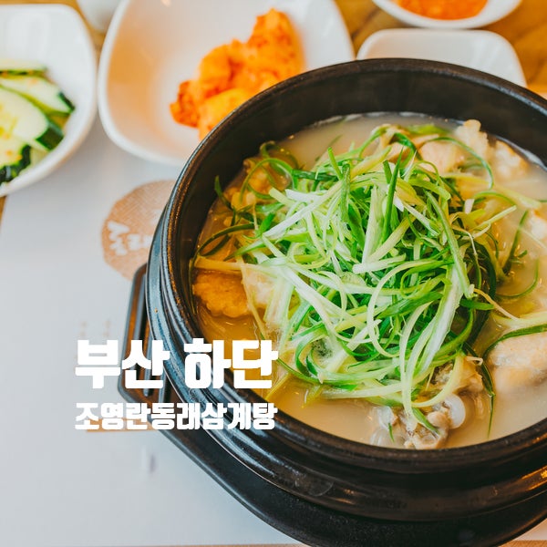 하단 삼계탕 몸보신 최고 한식 조영란동래삼계탕