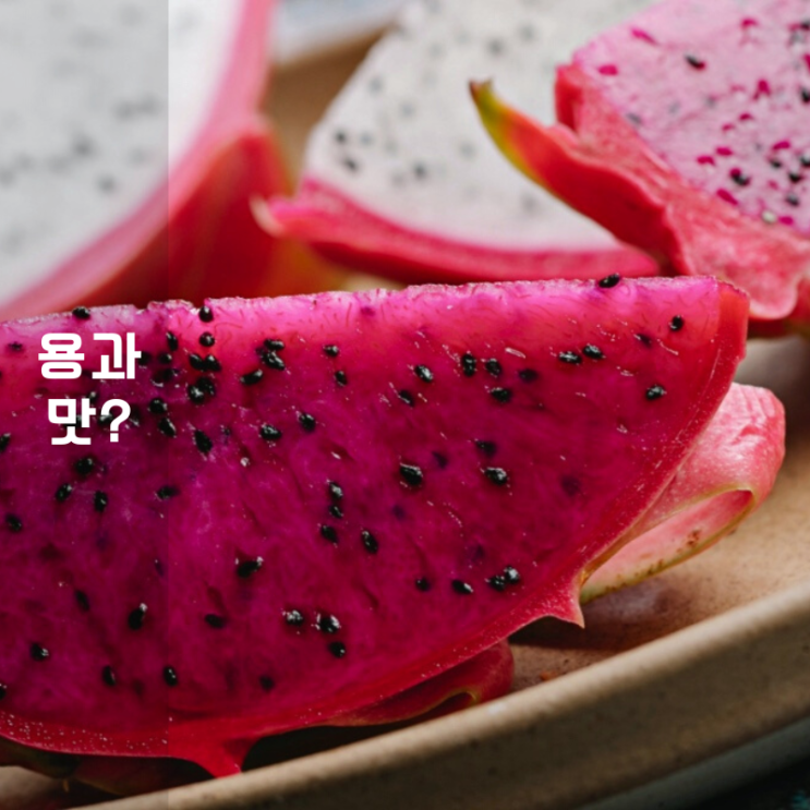  열대과일 종류 용과 맛 알아보기 흰색 빨간색 그리고 노란색 비교