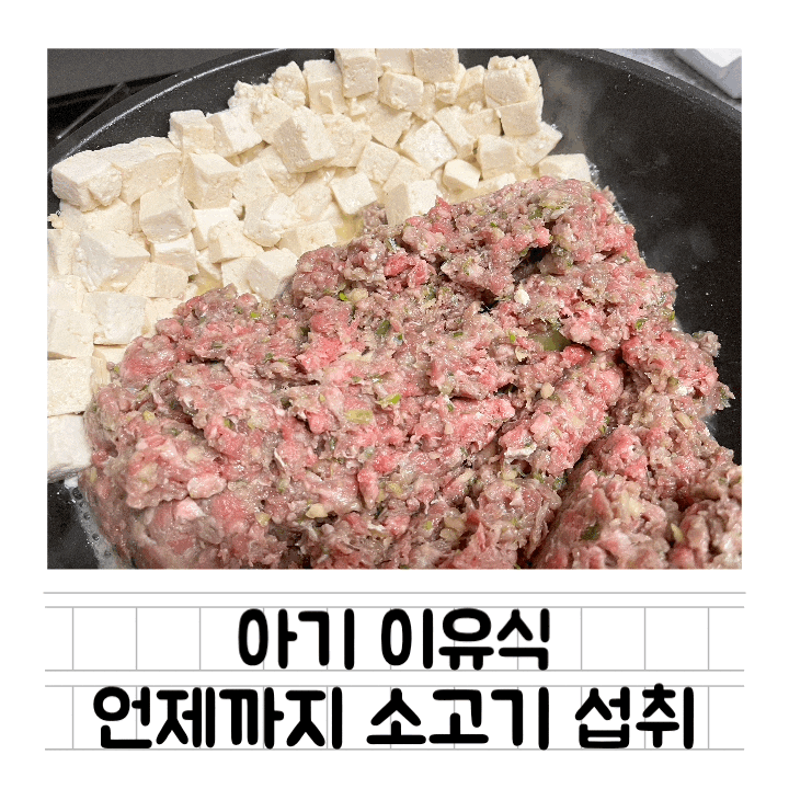 [이유식] 아기는 언제까지 매일 소고기를 먹어야 하나요(소고기 섭취 시기)