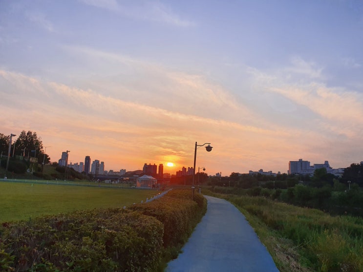  6월 넷째주 주간 일기 챌린지