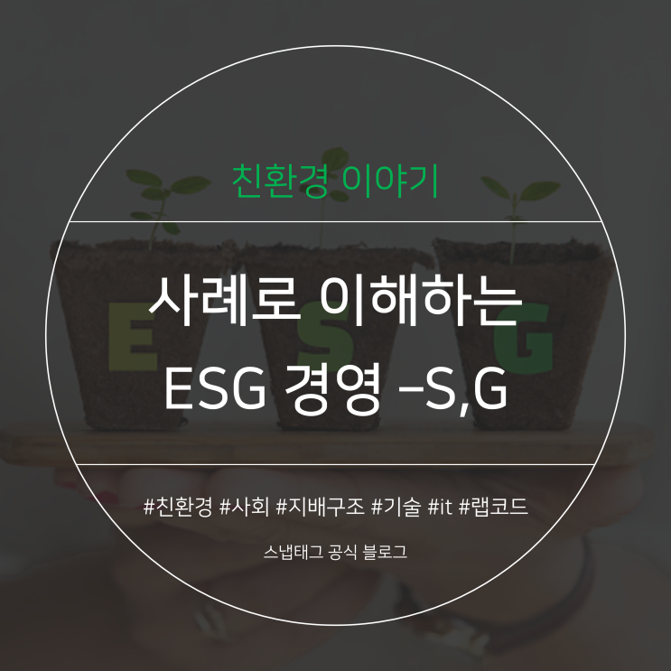  [스냅태그] ESG 사례로 쉽게 이해하기- S, G (사회, 지배 구조) 편