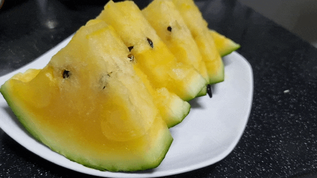  노란수박 블랙망고수박 맛, 가격, 효능 및 후기 여름 과일 추천