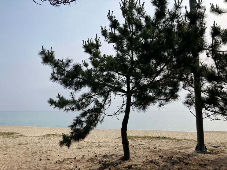  [워케이션 2일차] 진짜 월요일 같은 화요일! 업무 시작과 좌충우돌 현지 적응기!