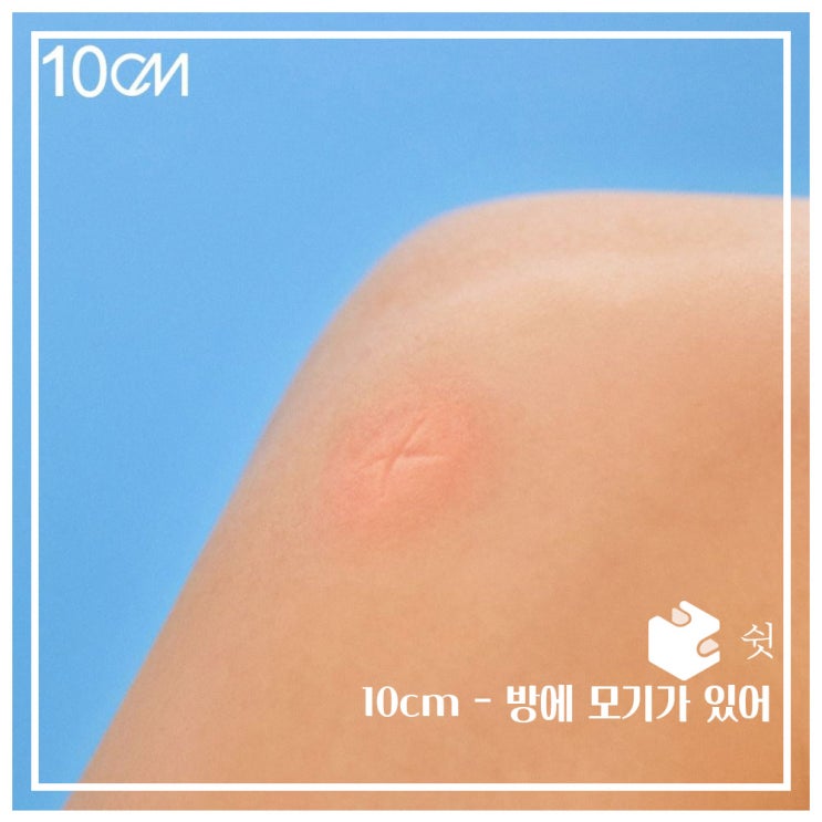  하루 한 곡10cm - 방에 모기가 있어 