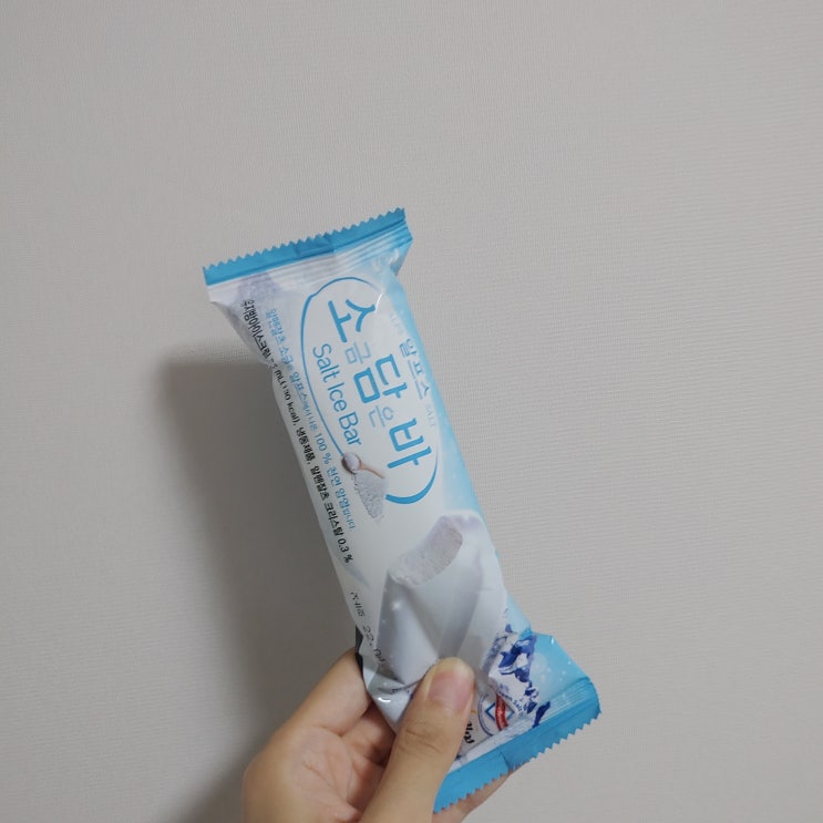 초여름의 아이스크림 음미하기 1편-소금담은바?! 이것은 신기하다 초여름의 아이스크림 음미하기 1편-소금담은바?! 이것은 신기하다