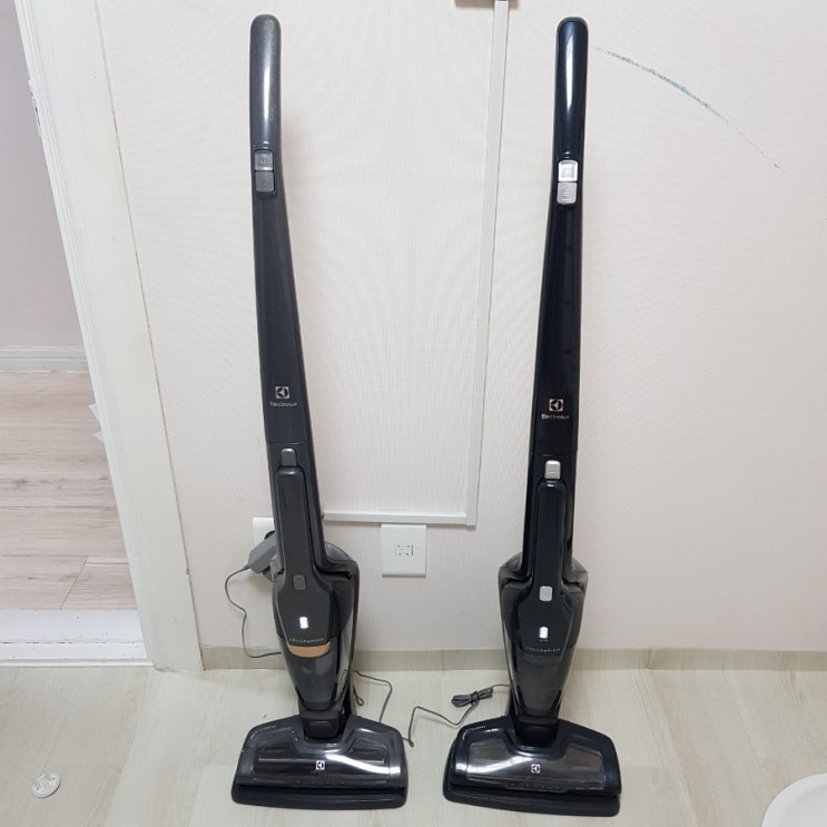 [내돈내산::무선청소기추천] 일렉트로룩스 에르고라피도 ZB3512LG 구입