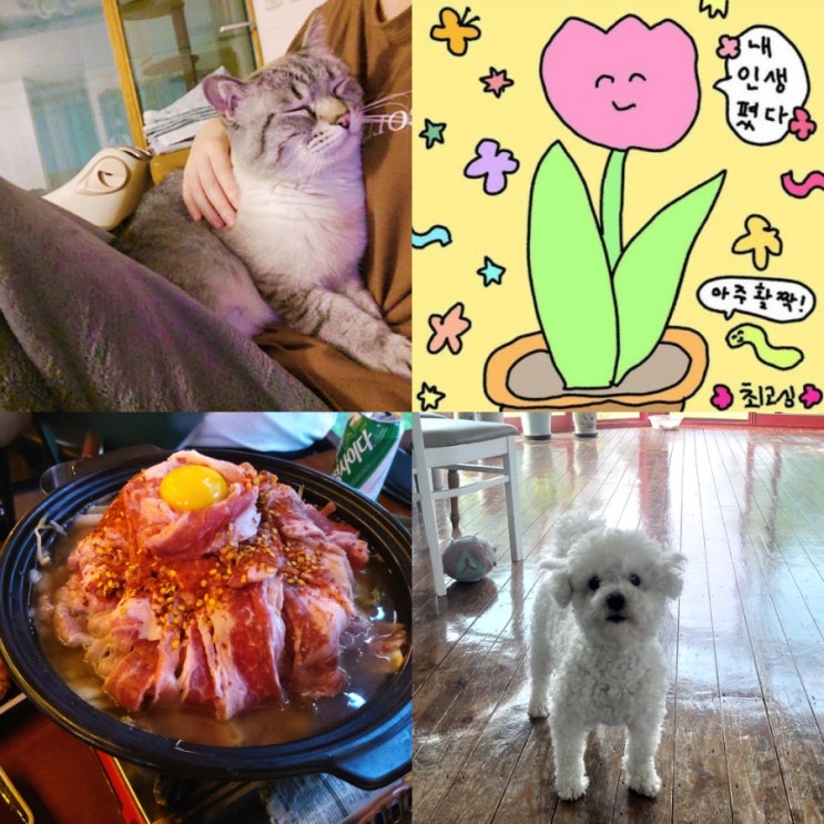  일주일 남은 백수인생 즐겨보자~️/우리담이 누나 응원해주느라 고생 많았어