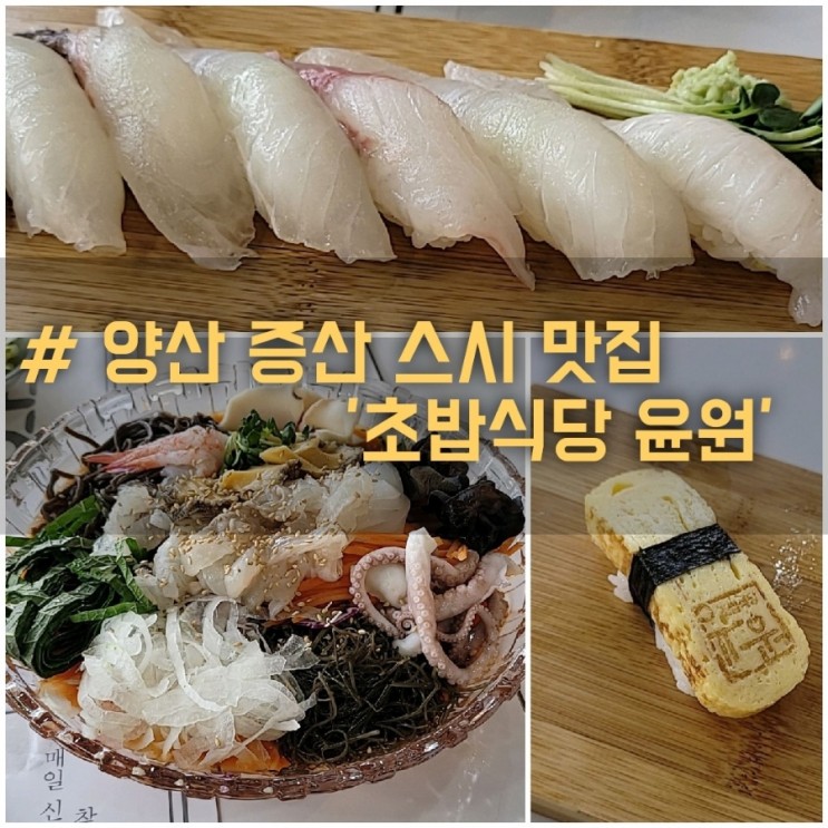 분위기 좋은 양산 증산 스시 맛집 초밥식당 윤원에서 맛있는 물회 한 그릇! 추천!