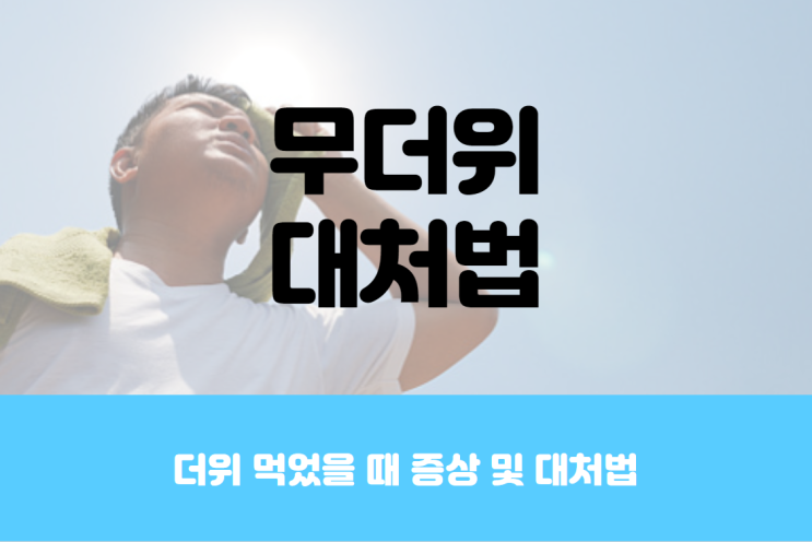  더위 먹었을 때 음식 대처법