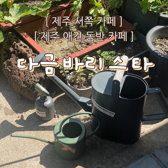  {제주시/카페} 다금바리스타 :: "카페 이름에 홀린 듯 방문한 감성 카페" , 제주 서쪽 카페, 노을해안로, 제주 애견 동반 카페