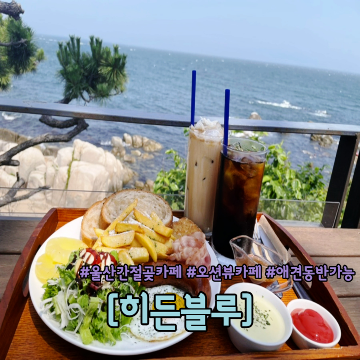  울산 간절곶 카페 히든블루 애견동반 가능한 오션뷰 카페