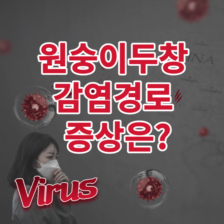  원숭이두창 국내감염경로 및 증상 백신 재접종 가능성?