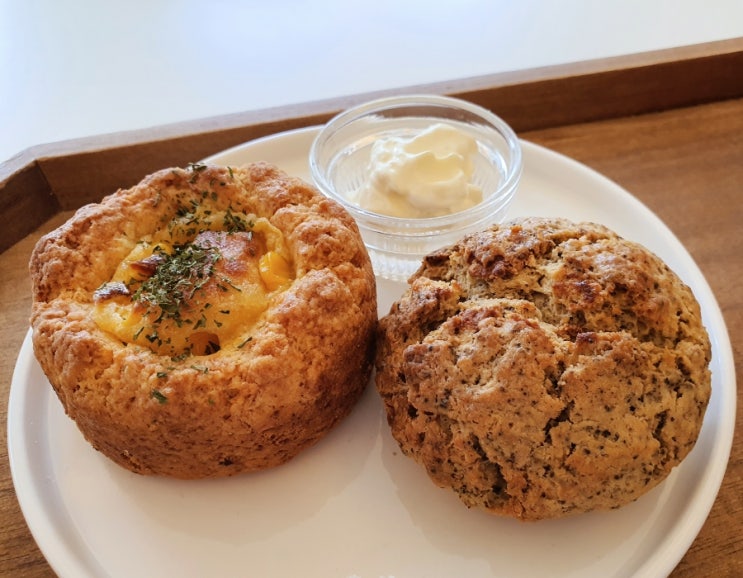 광주 제대로 된 스콘 전문점 카페 스콘스 -클로디드 크림까지 완벽 추천 맛집