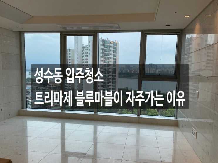  성수동 입주청소 트리마제 블루마블이 자주가는 이유