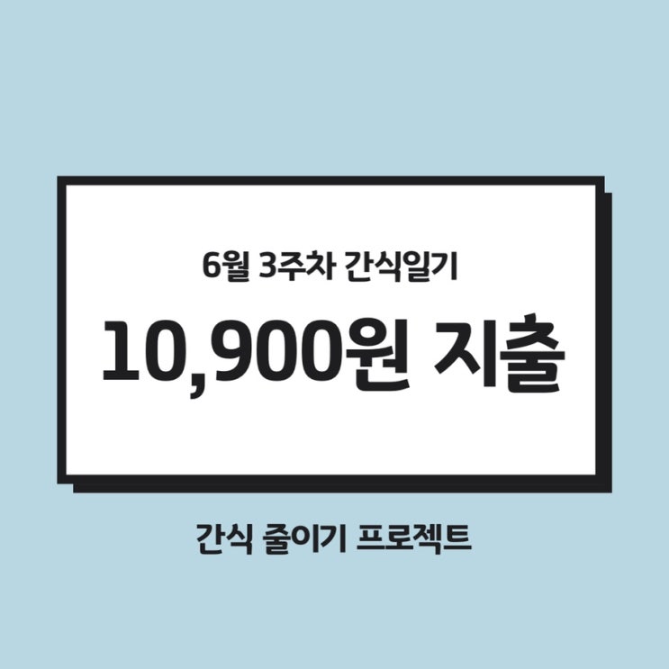  6월 3주차 간식일기 : 간식비 10,900원 지출
