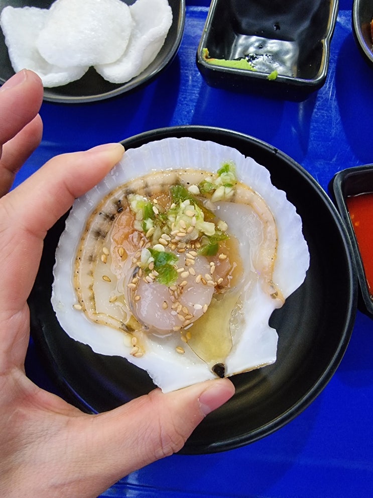  [식도락] 도시어부에서 싱싱한 회 한사바리 먹구 왔습니다! (ft. 정왕동횟집! 정왕동맛집!)