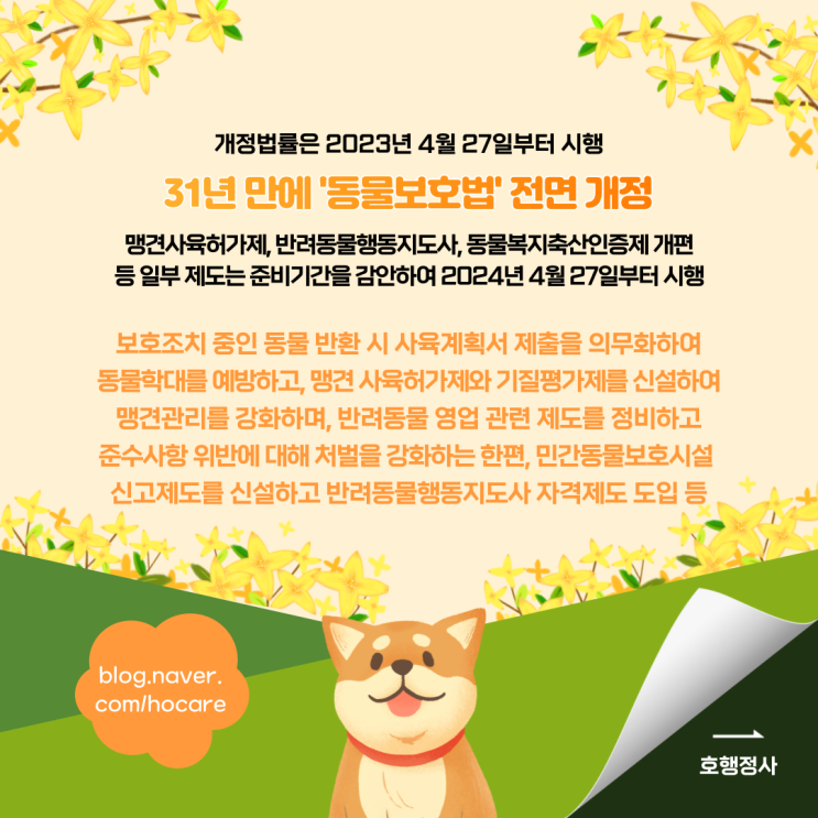  31년 만에 '동물보호법' 전면 개정