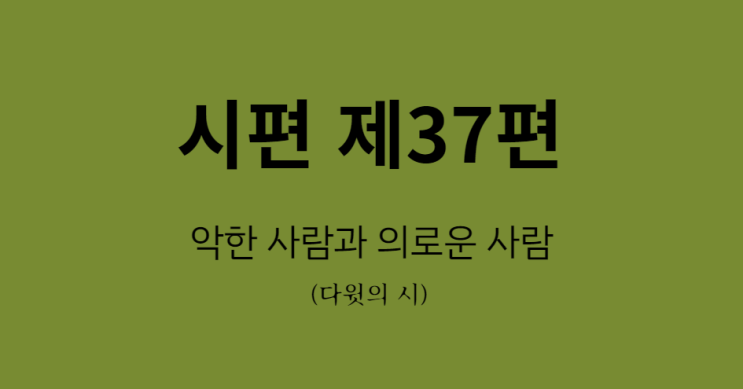 시편 37편 시편 37편