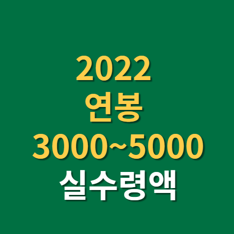  연봉 3000 4000 5000 실수령액은?