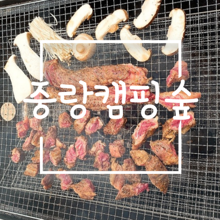  [중랑]중랑캠핑숲 당일 캠핑
