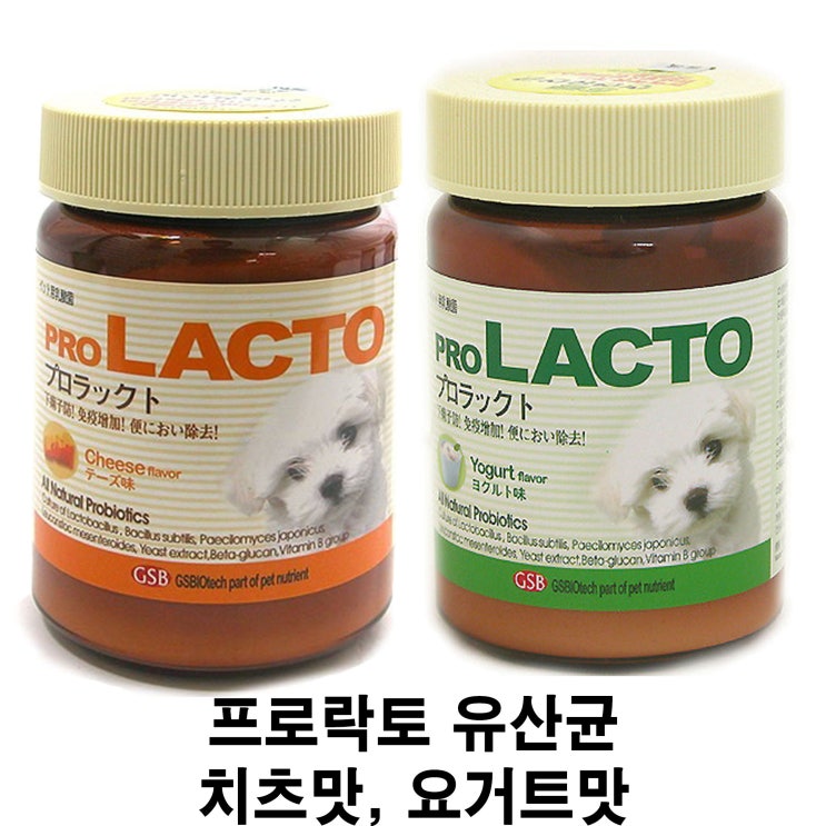  [프로락토 유산균 치즈맛, 요거트맛] 배곧 반려용품점 펫마루