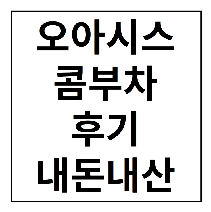오아시스 콤부차 후기 내돈내산 오아시스 콤부차 후기 내돈내산