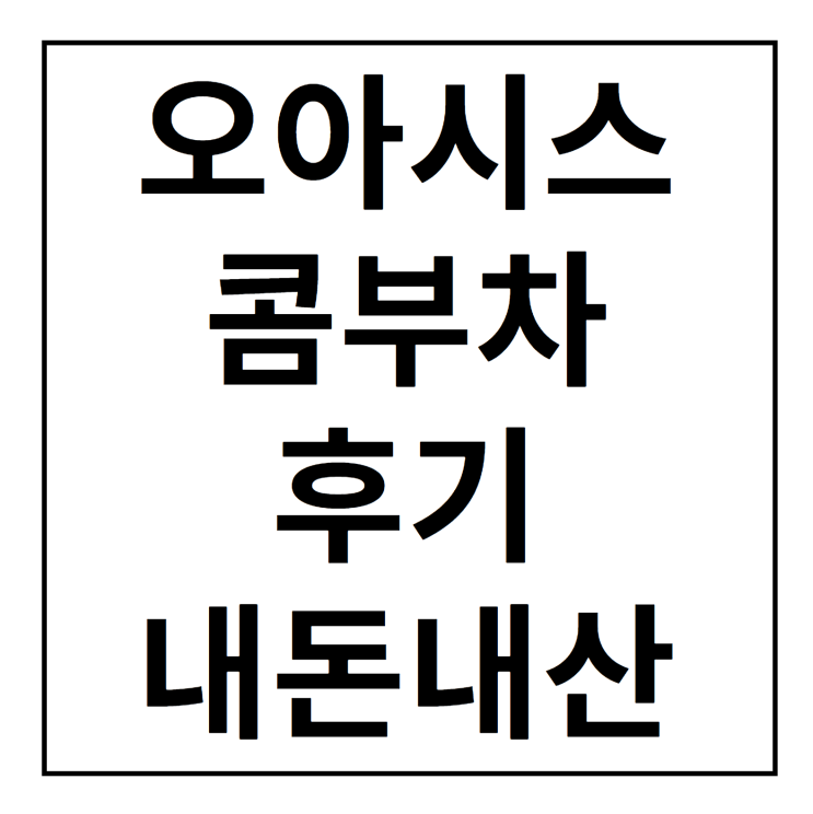 오아시스 콤부차 후기 내돈내산