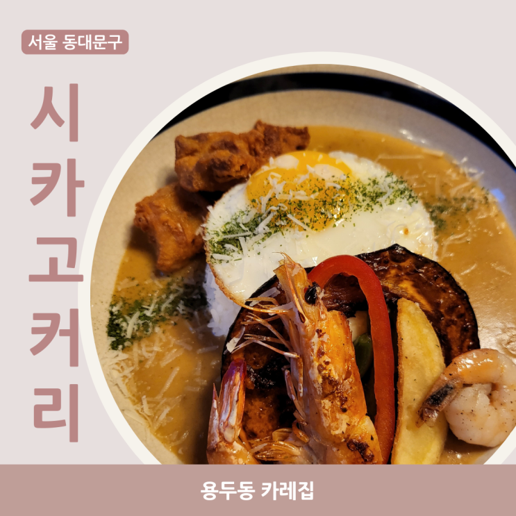  서울 동대문구청맛집 시카고커리, 카레 한접시면 배불