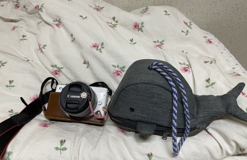 일상기록용 카메라 캐논 eos m10 사용후기