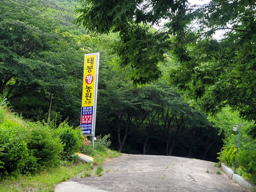 태봉꿩농원가든 사진 2