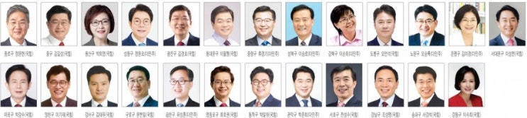구청장, 시·구<b>의원</b>, 광역·경기·인천 자치단체장 <b>당선자 명단</b>