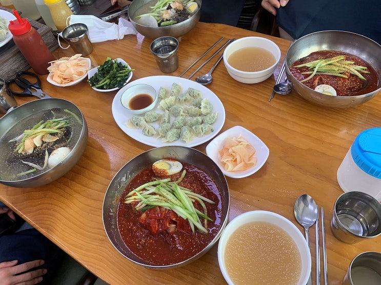  융건릉 냉면 맛집) 비냉 맛집으로 유명한 '청학동 칡냉면' #내돈내먹