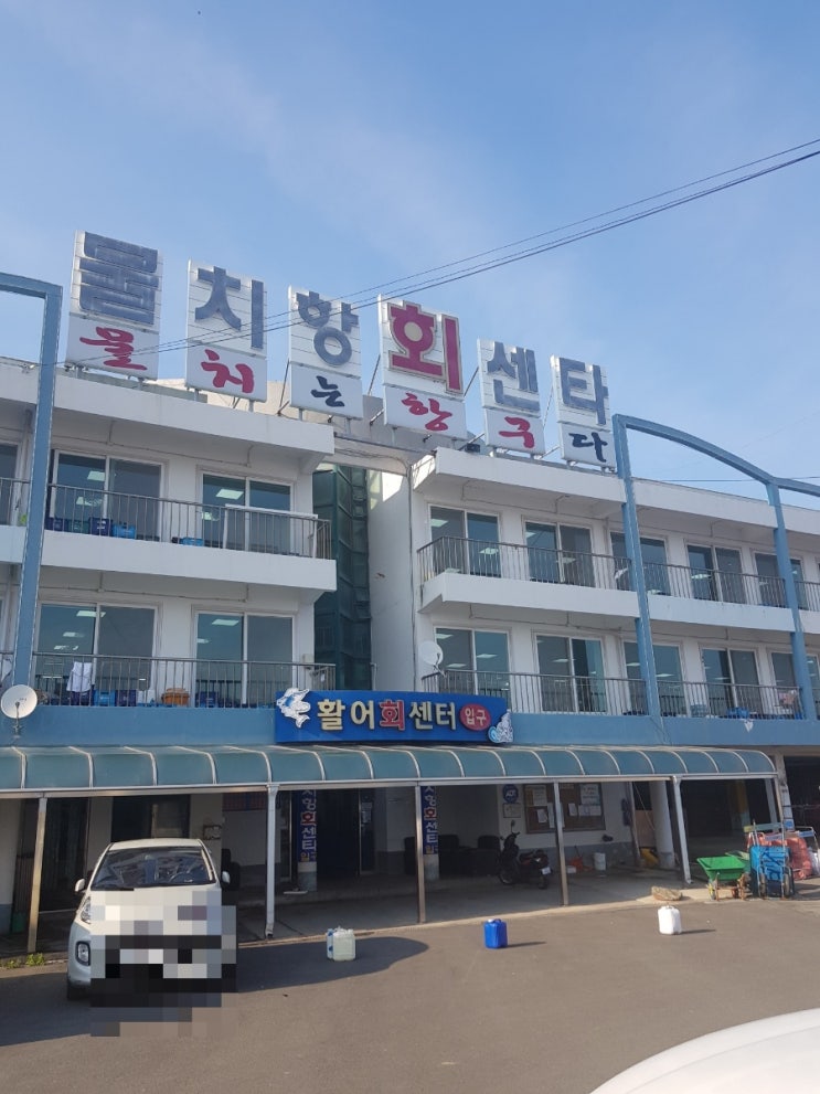 강릉 양양군 물치항 회 센터 현순네 참돔회~ 강릉 양양군 물치항 회 센터 현순네 참돔회~