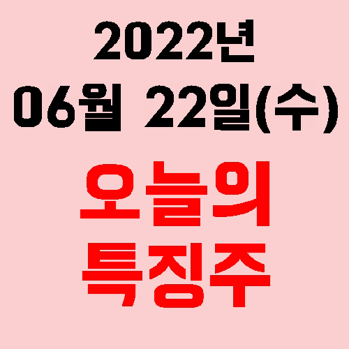  오늘의 시장 특징주 2022년 06월 22일(수)