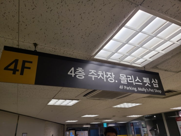  신세계 상품권 사용 및 이마트 성수점 몰리스 펫 샵 쇼핑 후기