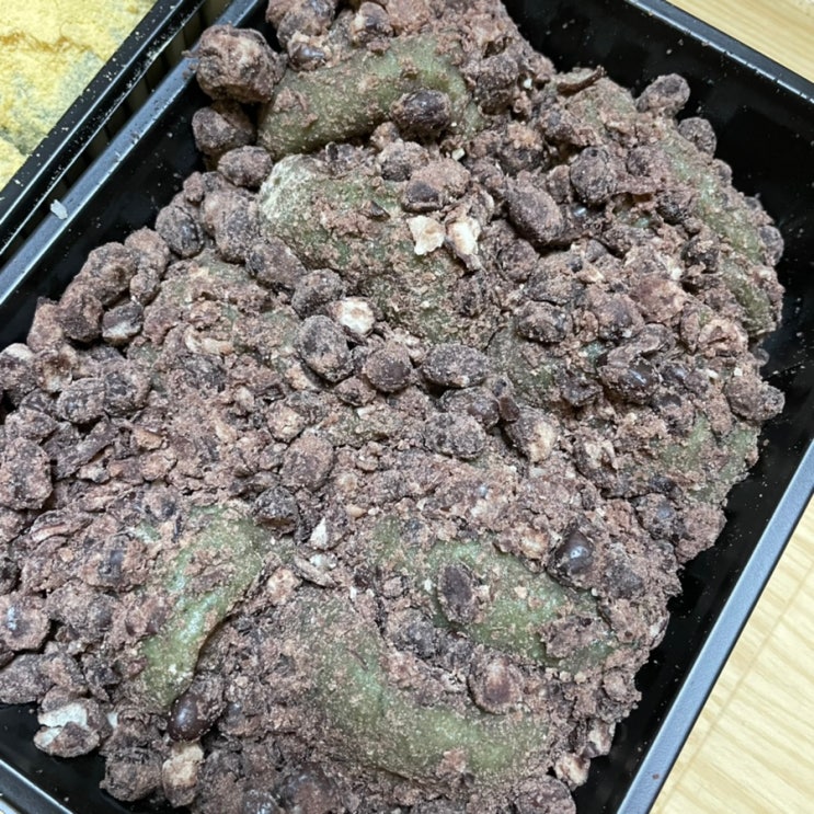  제주동문시장 수제 오메기떡 전문점 진아떡집, 여기가 찐이예요!