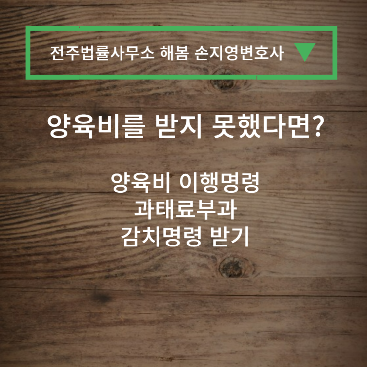  전주법률사무소 손지영변호사의 양육비 이행명령