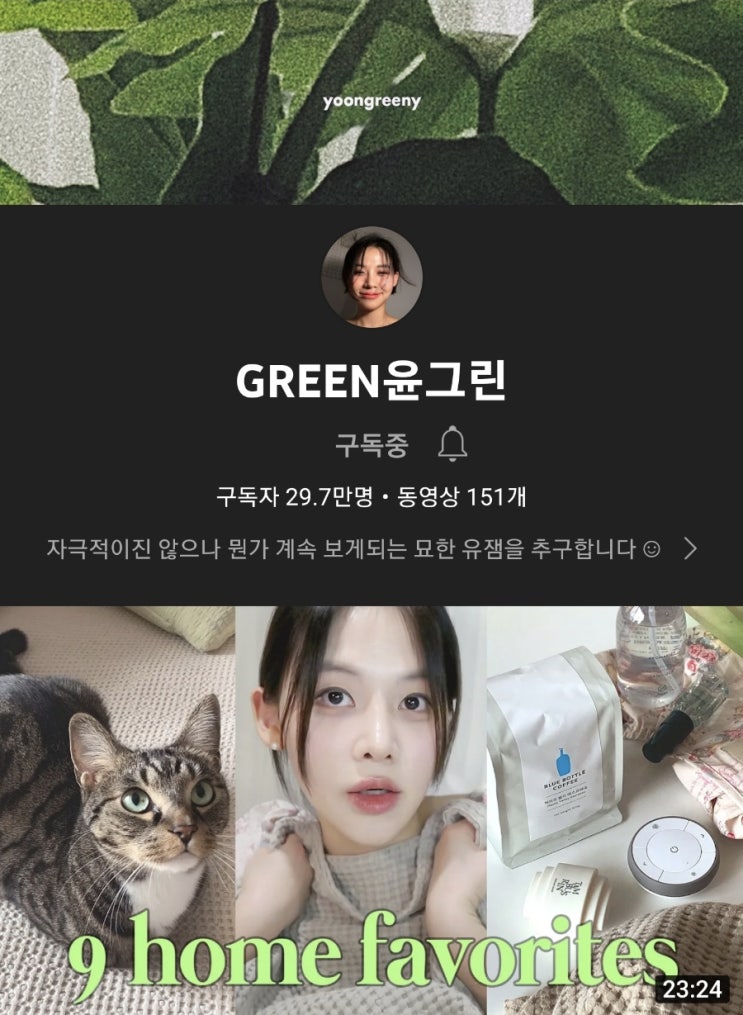  유튜버추천] 라면구신은 어떤 유튜브채널을 조질까?