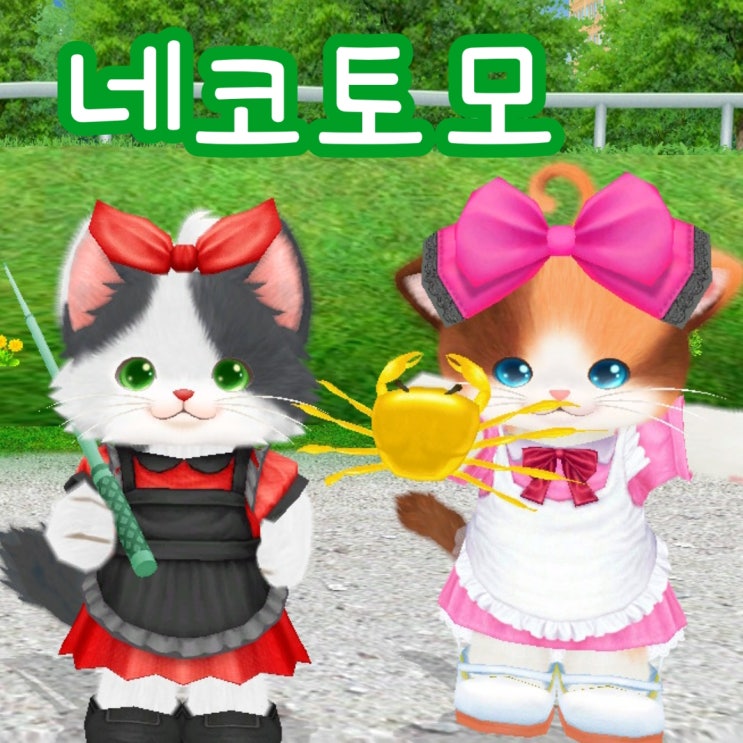  고양이게임 네코토모 귀여운 닌텐도 스위치 게임 추천