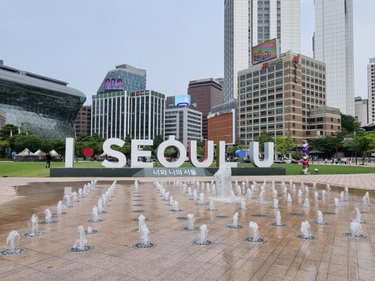 시청광장 앞 꽃길을 걸어보자! (feat 시청 앞 지하철 역에서) 시청광장 앞 꽃길을 걸어보자! (feat 시청 앞 지하철 역에서)