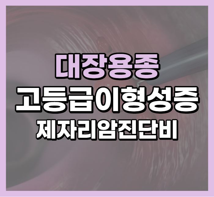  고등급이형성증 D12.6 D12.8 제자리암 진단비 분쟁