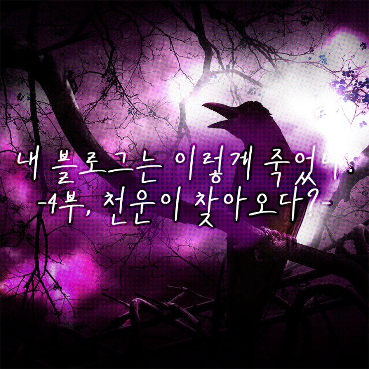 내 블로그는 이렇게 죽었다. (천운이 찾아오다?) 내 블로그는 이렇게 죽었다. (천운이 찾아오다?)