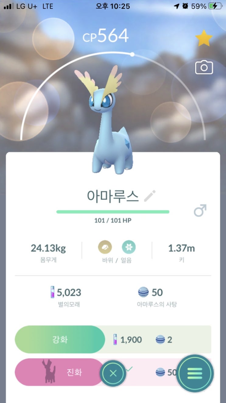  아마루스, 아마루르가