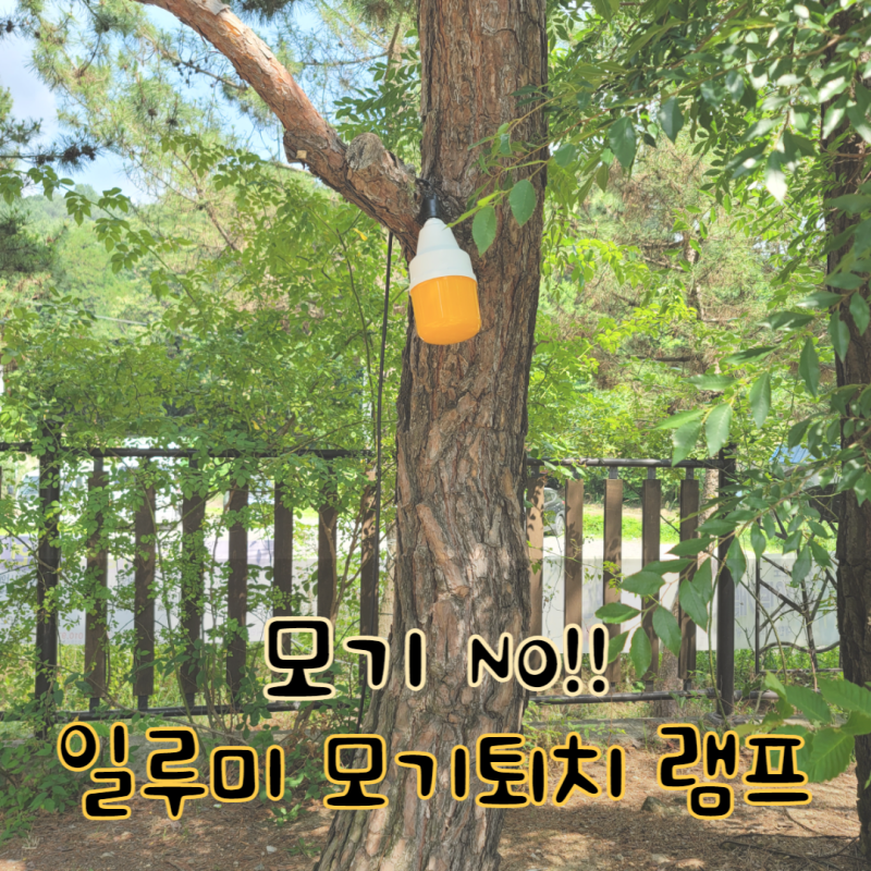 캠핑 모기퇴치기 일루미 모기 퇴치 램프하나면 걱정 없이 캠핑 다녀요